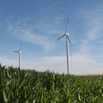 beautiful-shot-of-a-grassland-with-a-wind-turbine-2025-02-02-13-36-52-utc