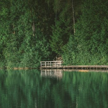 wooden-path-on-bled-lake-slovenia-2024-10-18-04-48-42-utc